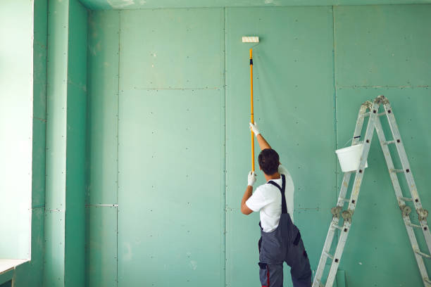 Dehumidification Services in Marissa, IL