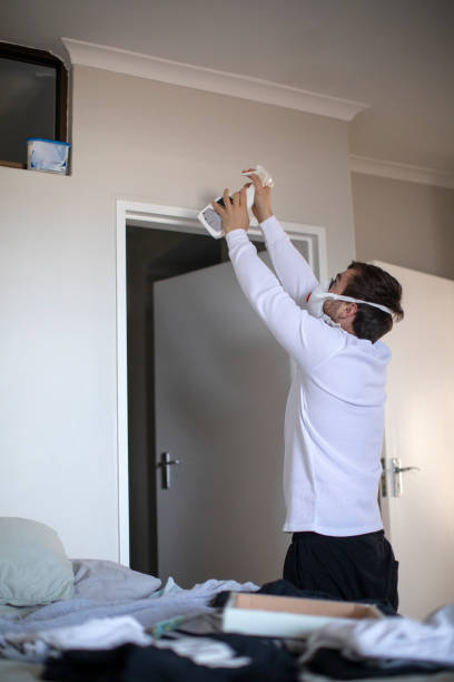 Best Mold Removal for HVAC Installations  in Marissa, IL