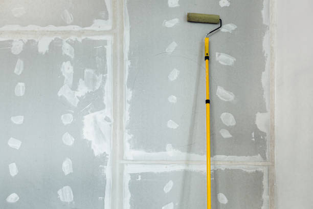 Reliable Marissa, IL Mold Removal Solutions
