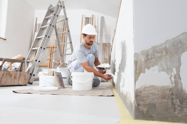 Best Forensic Mold Investigation  in Marissa, IL