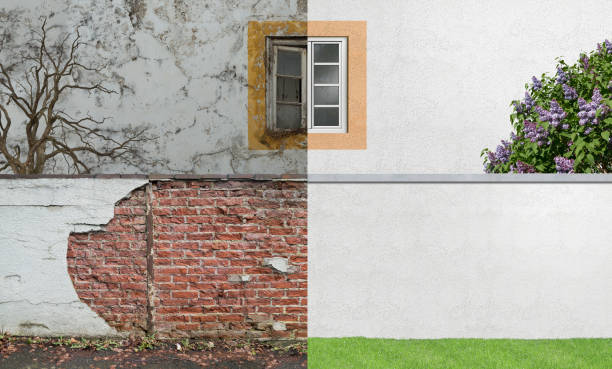 Best Mold Documentation for Insurance Claims  in Marissa, IL