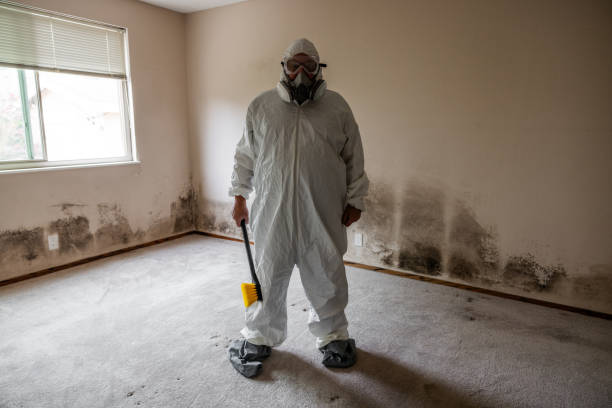 Best Mold Odor Removal Services  in Marissa, IL